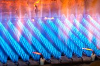 Sarn gas fired boilers